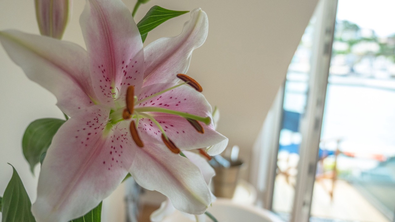 Photo of Others in Dartmouth