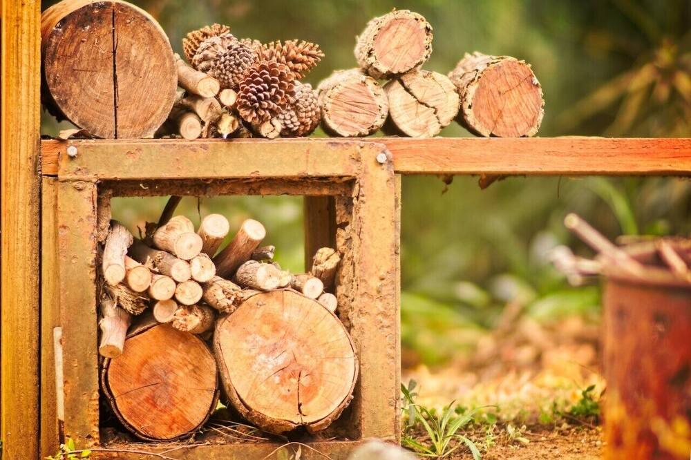 Photo of Outdoor in Eagle Heights