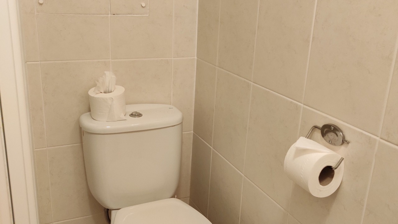 Photo of Others in Arundel