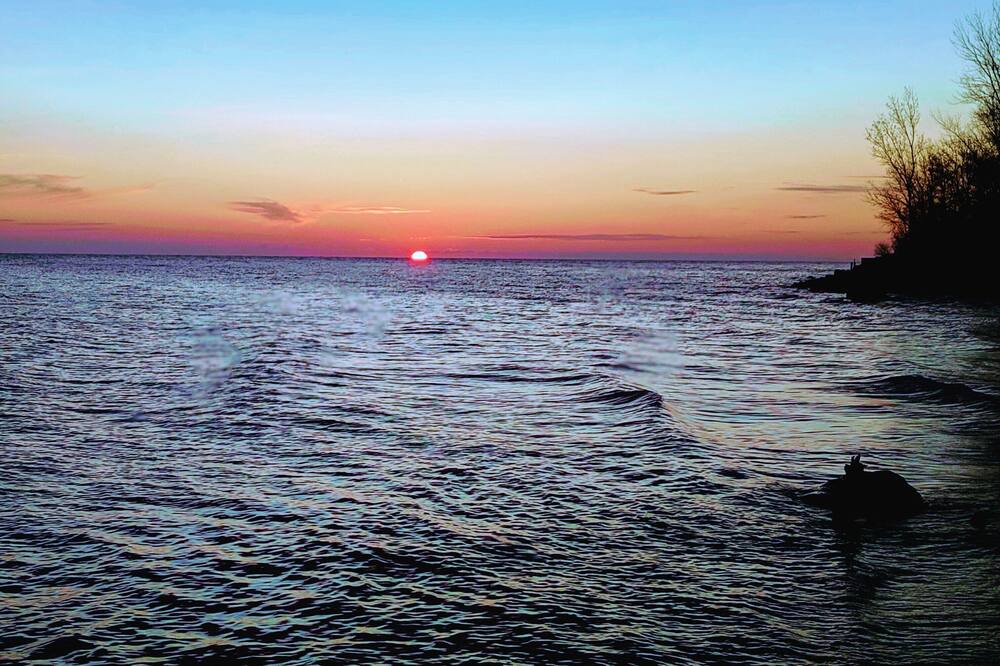 Photo of Others in Turkey Point