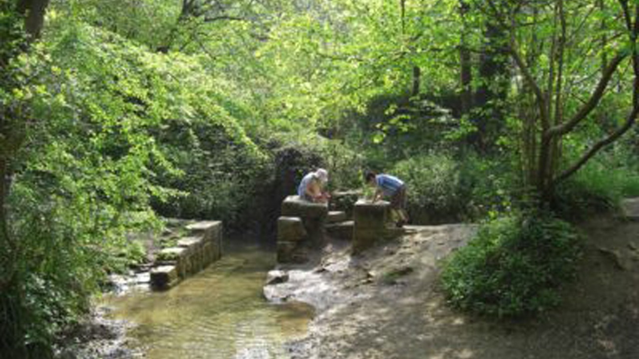 Photo of Outdoor in Chalford