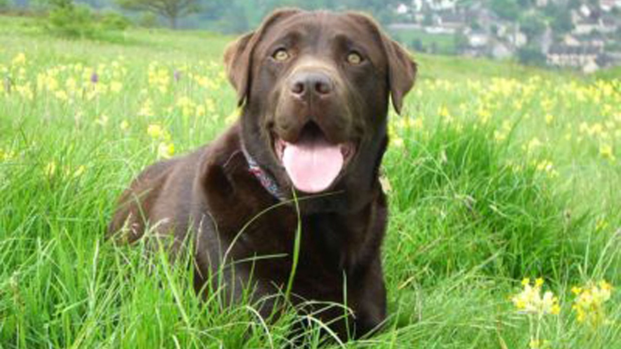 Photo of Others in Chalford