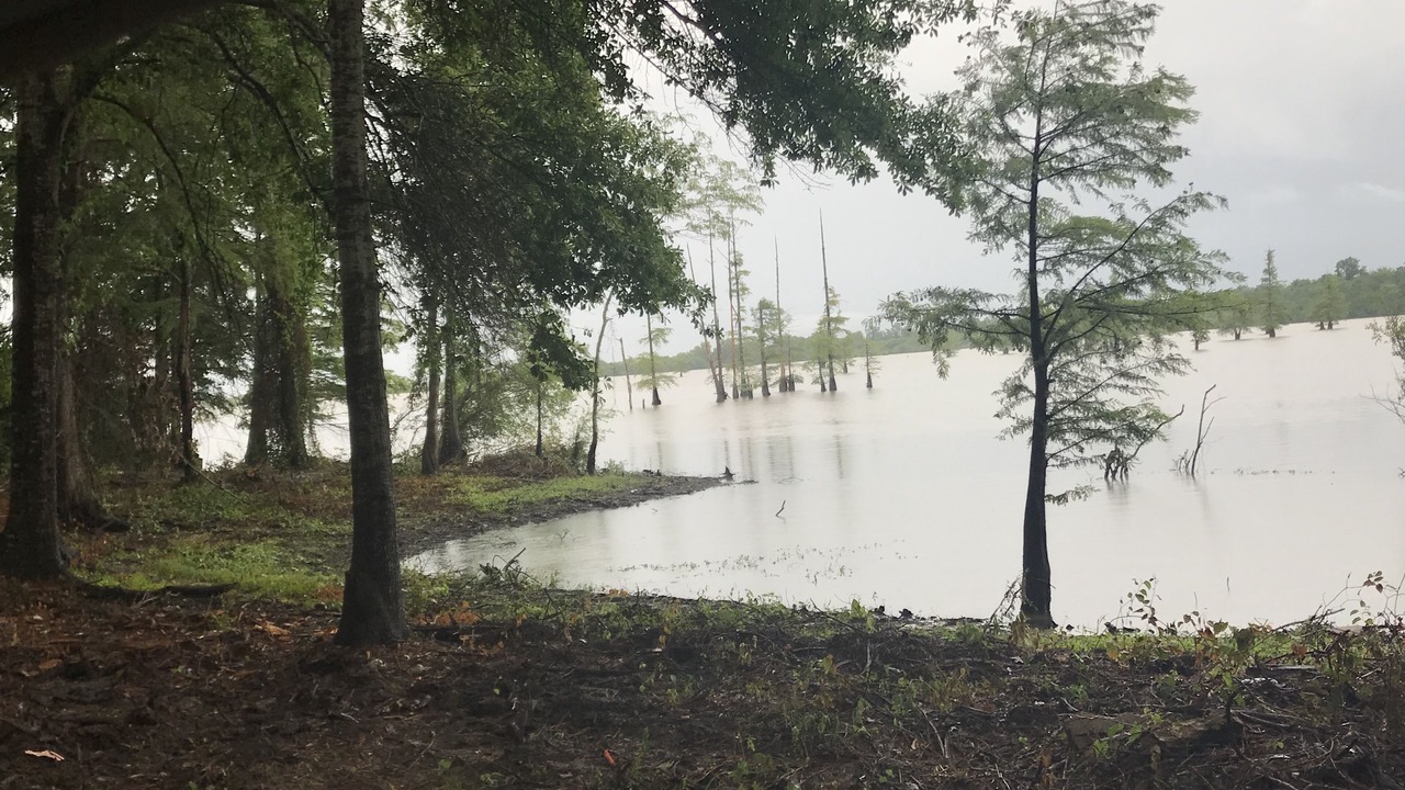 Photo of Others in De Soto Parish