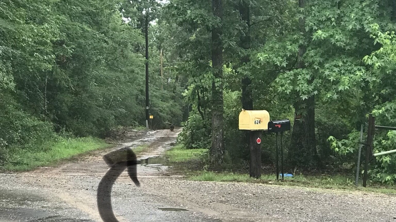 Photo of Outdoor in De Soto Parish