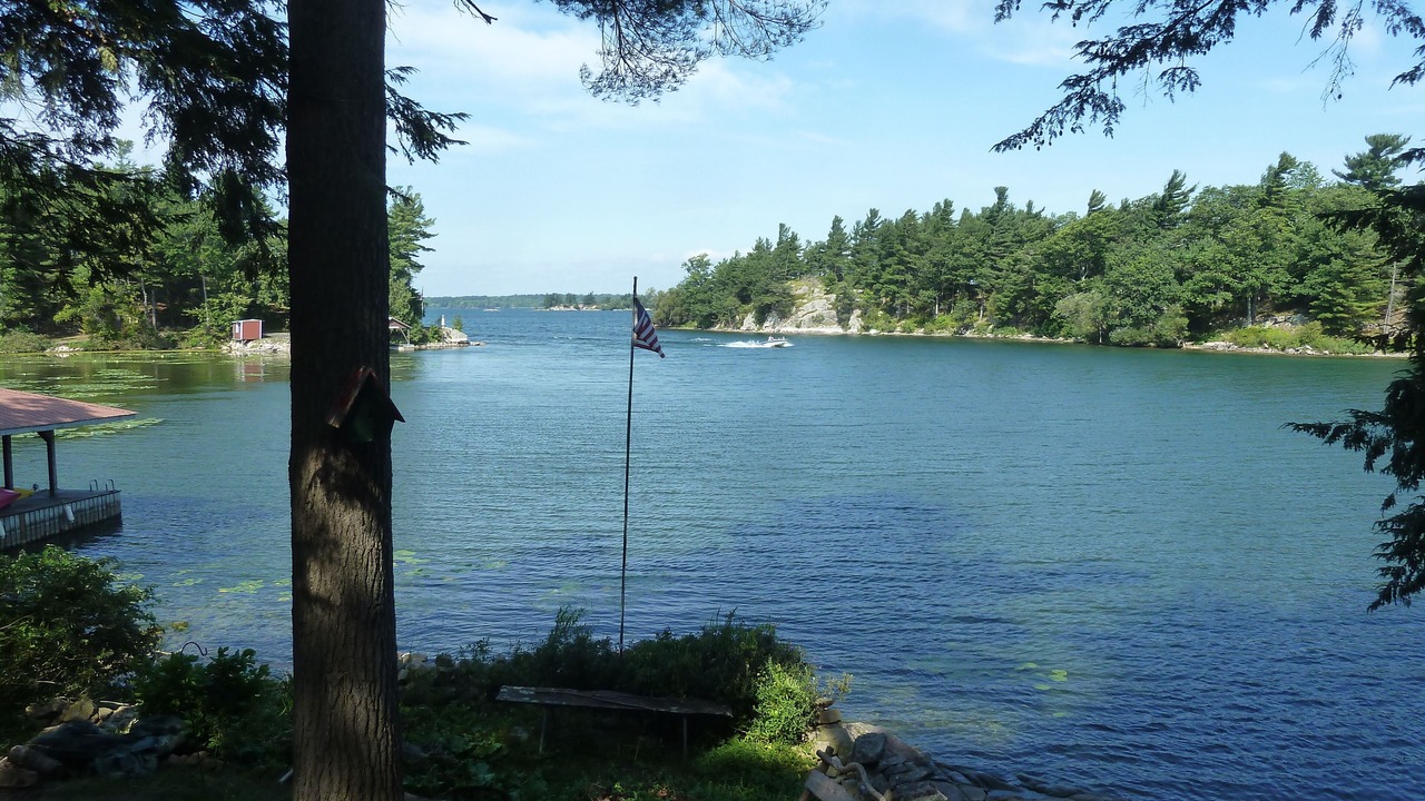Photo of Outdoor in Redwood