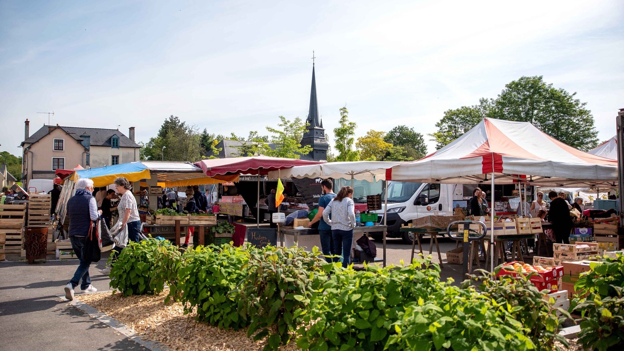 Photo of Others in Saint-Gregoire