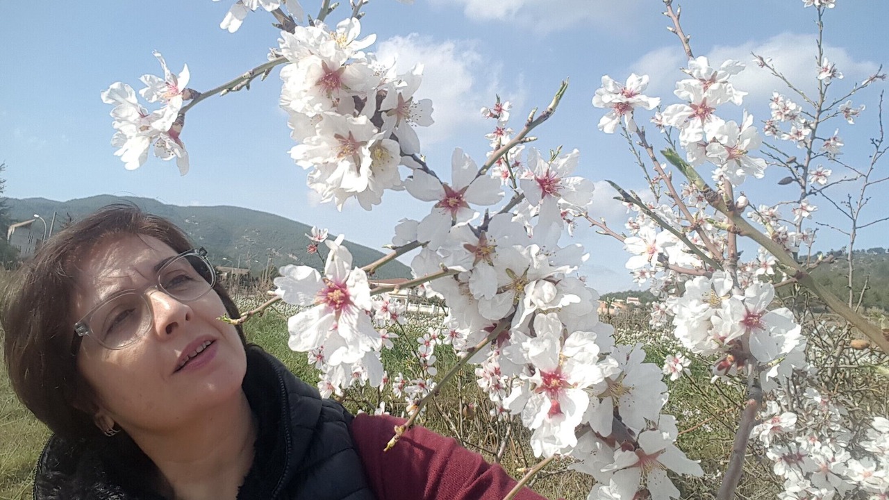 Photo of Others in Torrelles de Foix