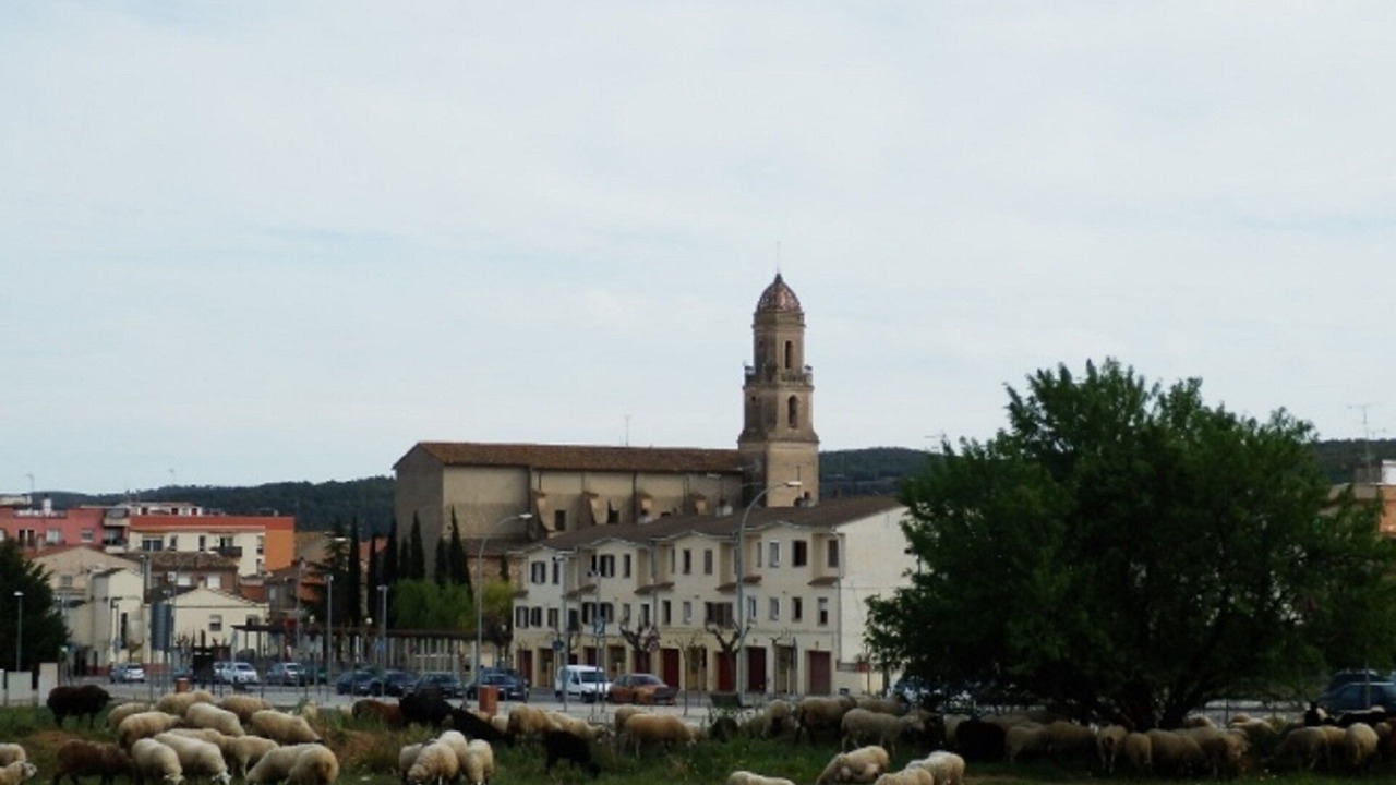 Photo of Outdoor in Torrelles de Foix