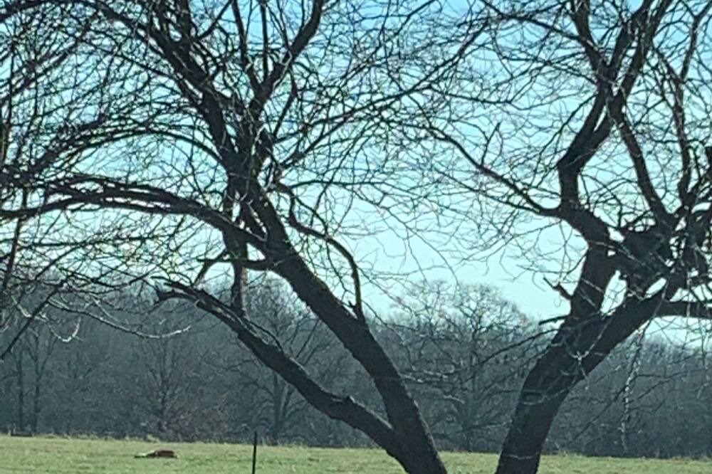 Photo of Others in Urbana
