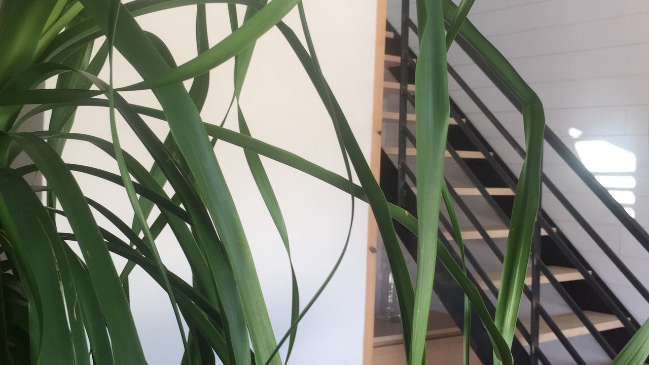 Photo of Others in Tignieu-Jameyzieu