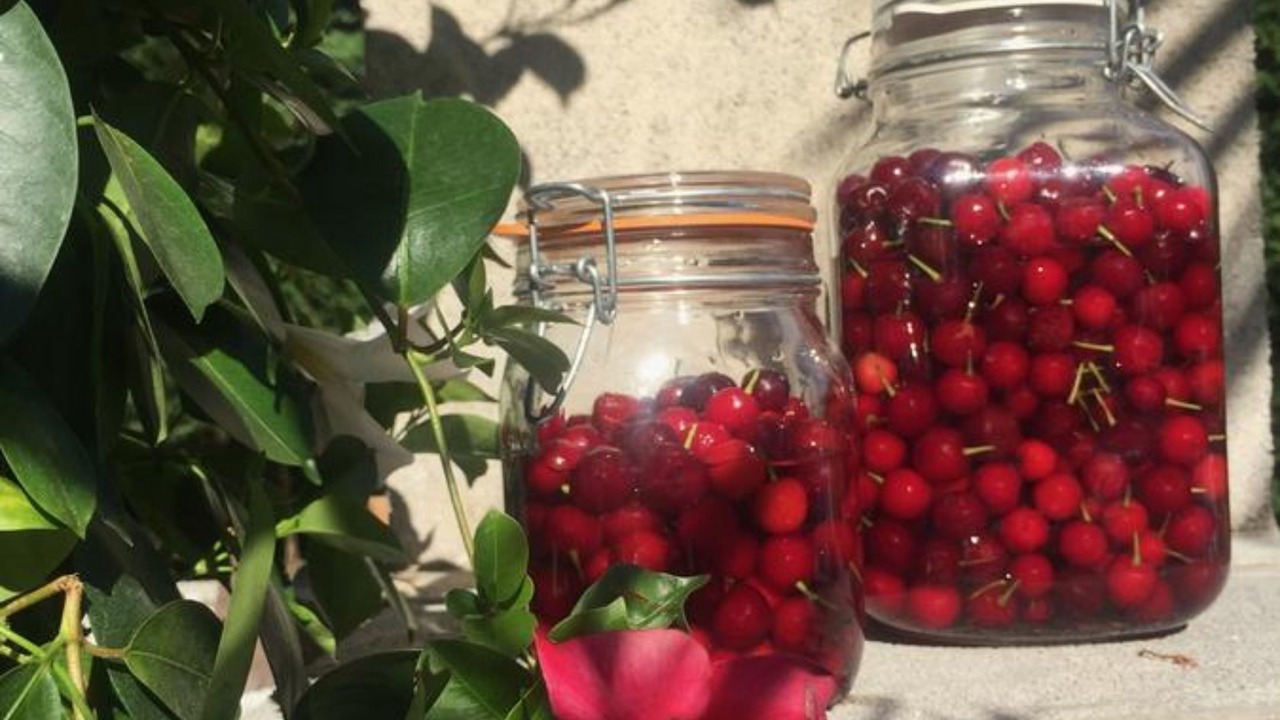 Photo of Others in Tignieu-Jameyzieu