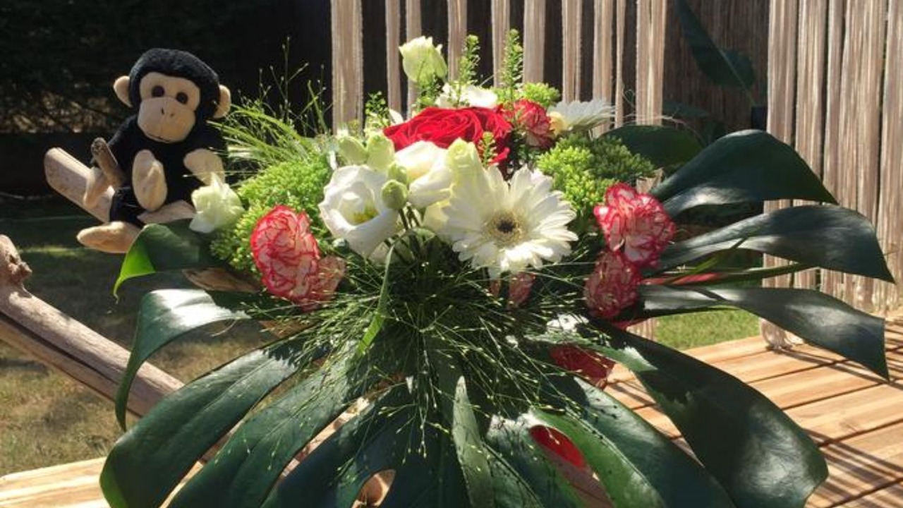 Photo of Outdoor in Tignieu-Jameyzieu