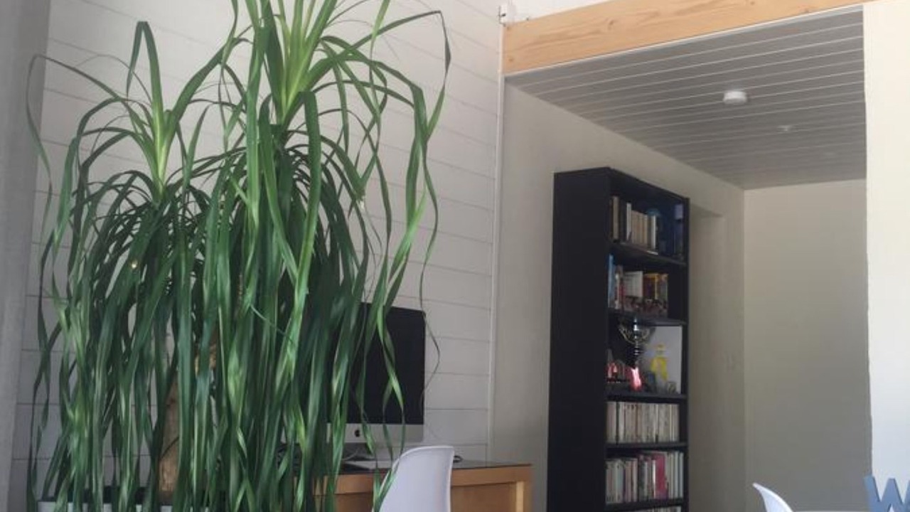 Photo of Others in Tignieu-Jameyzieu