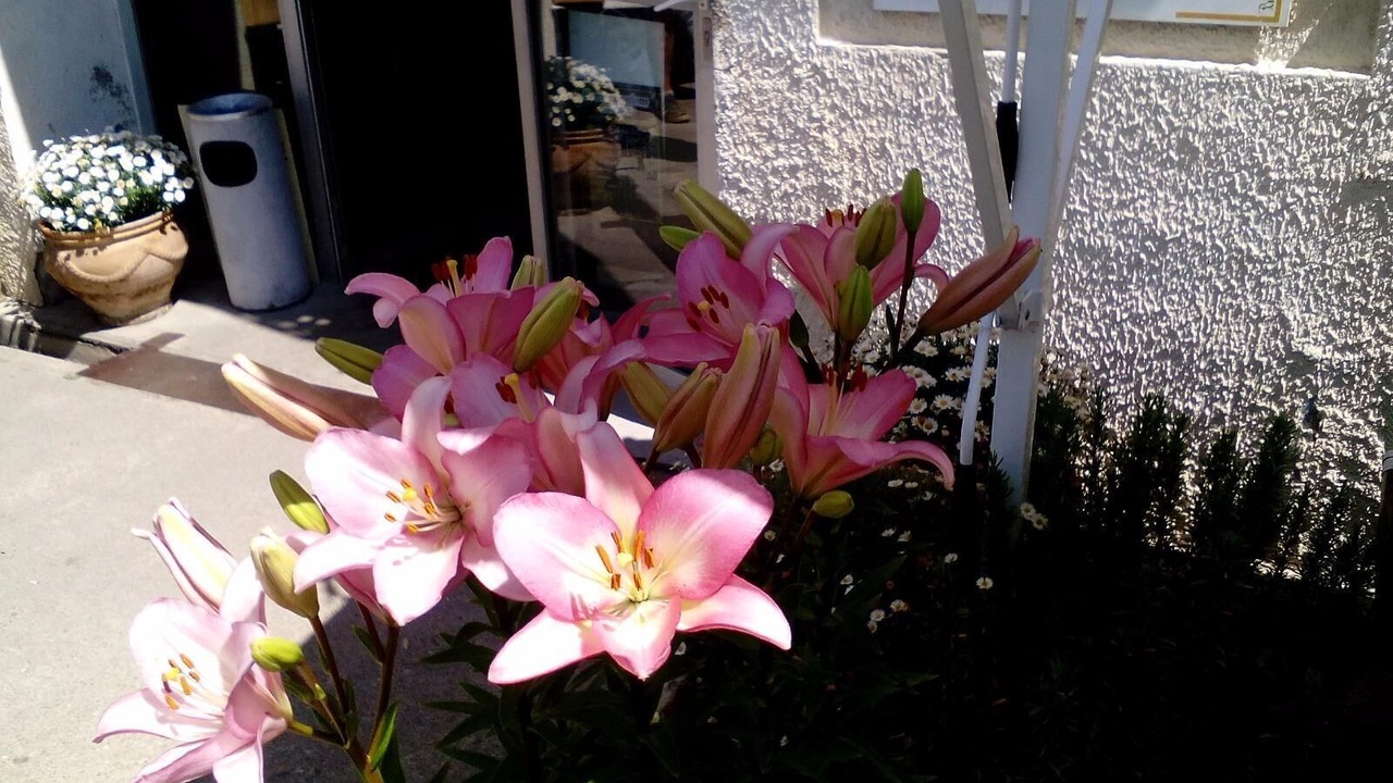 Photo of Outdoor in Capestang