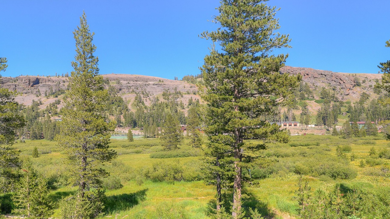 Photo of Outdoor in Kirkwood