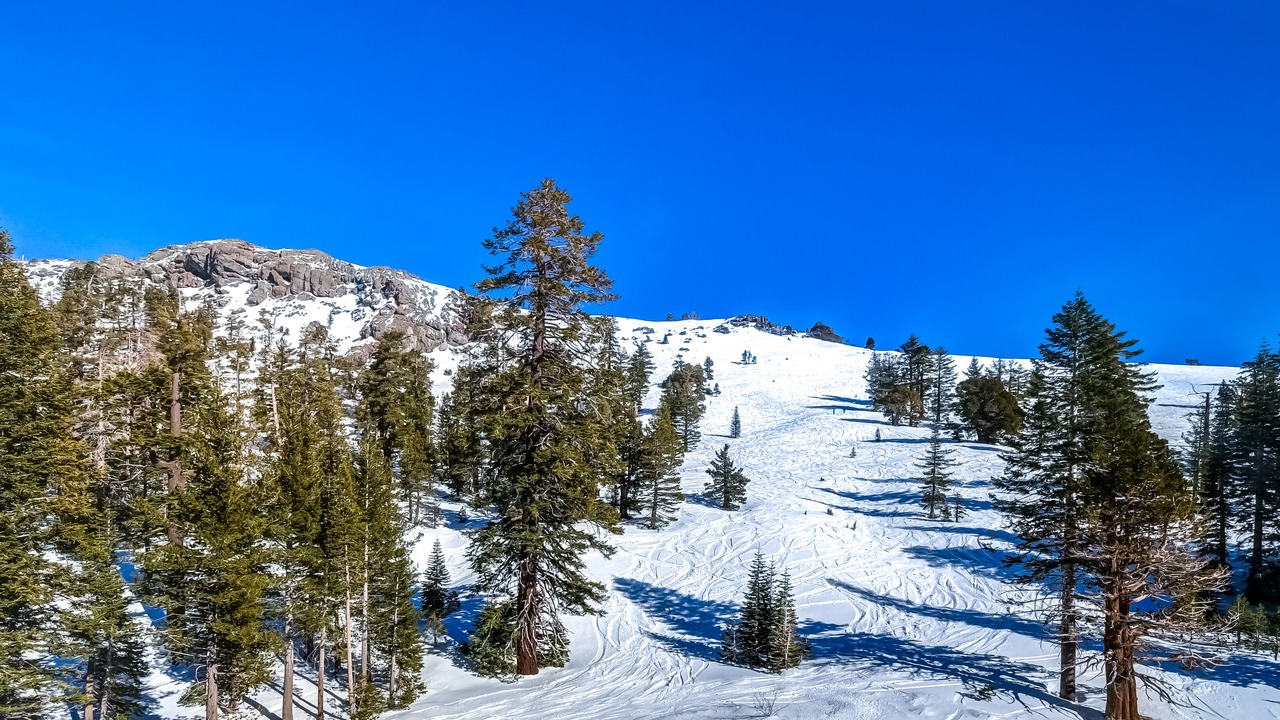Photo of Others in Kirkwood