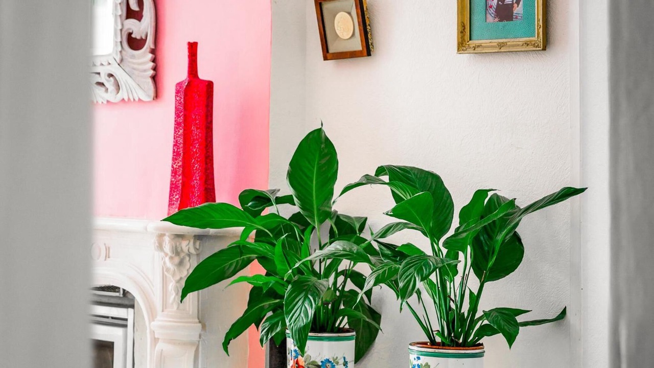 Photo of Others in Chatellerault