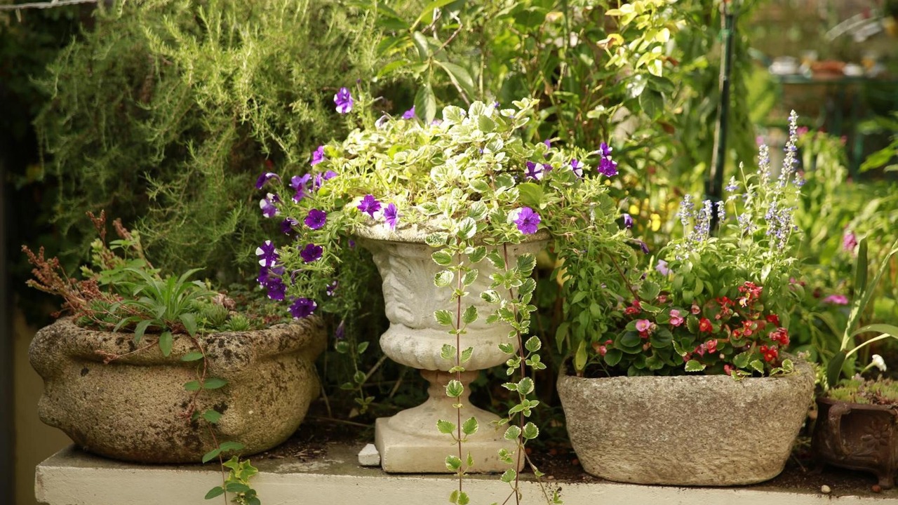 Photo of Outdoor in Chatellerault