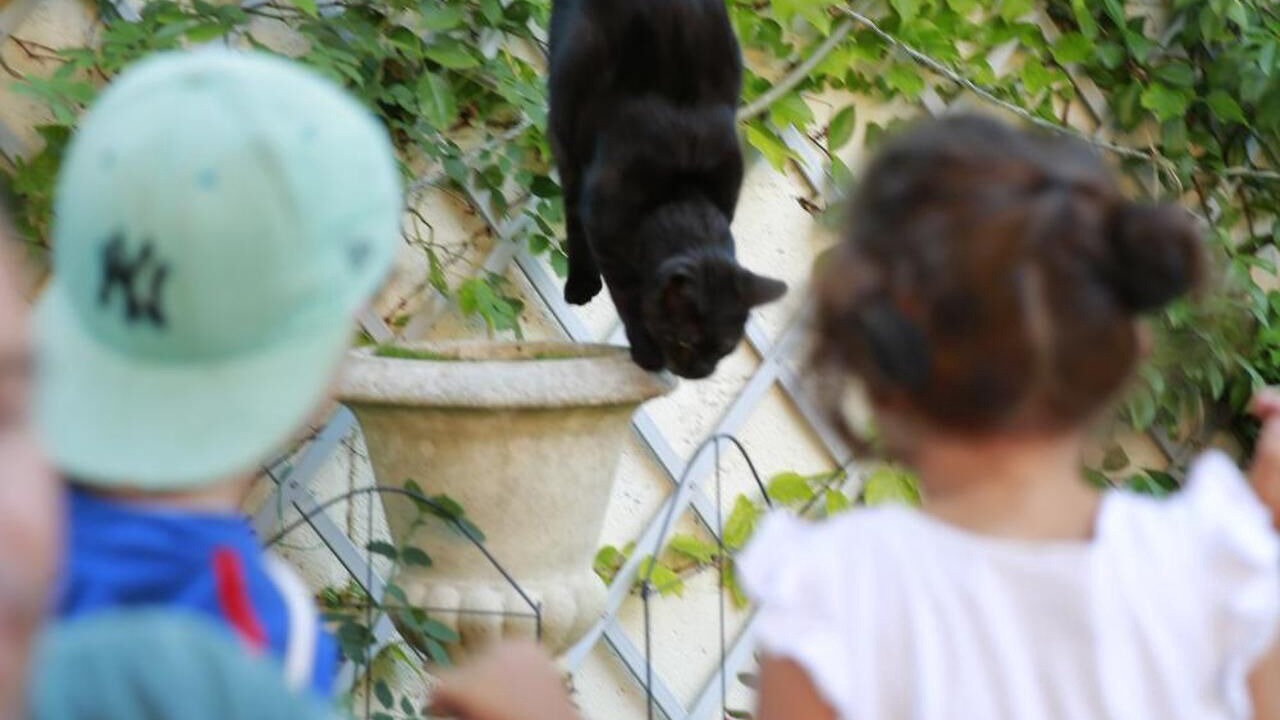 Photo of Outdoor in Chatellerault