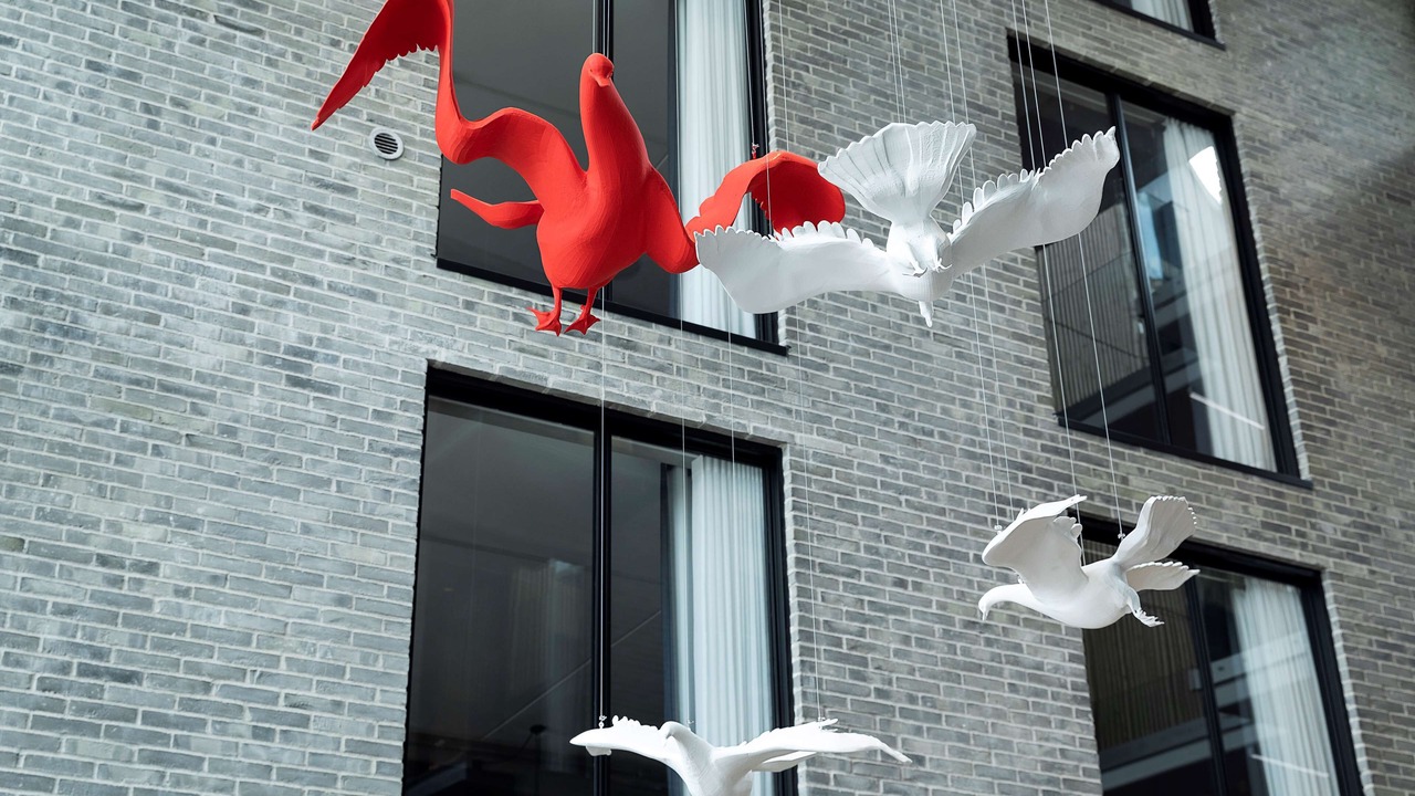 Photo of Outdoor in Midtbyen