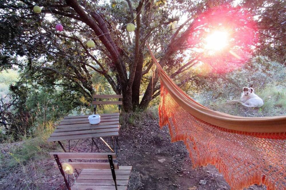 Photo of Outdoor in Tremp