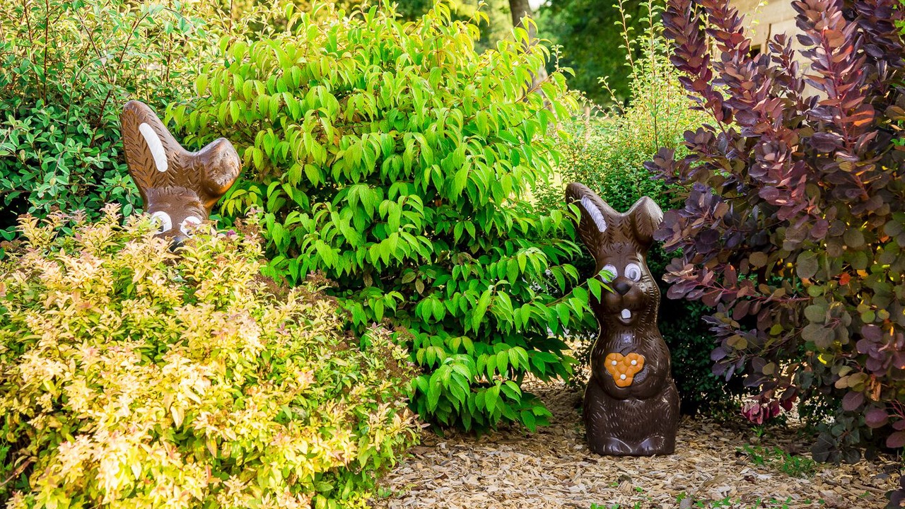 Photo of Outdoor in Cornier