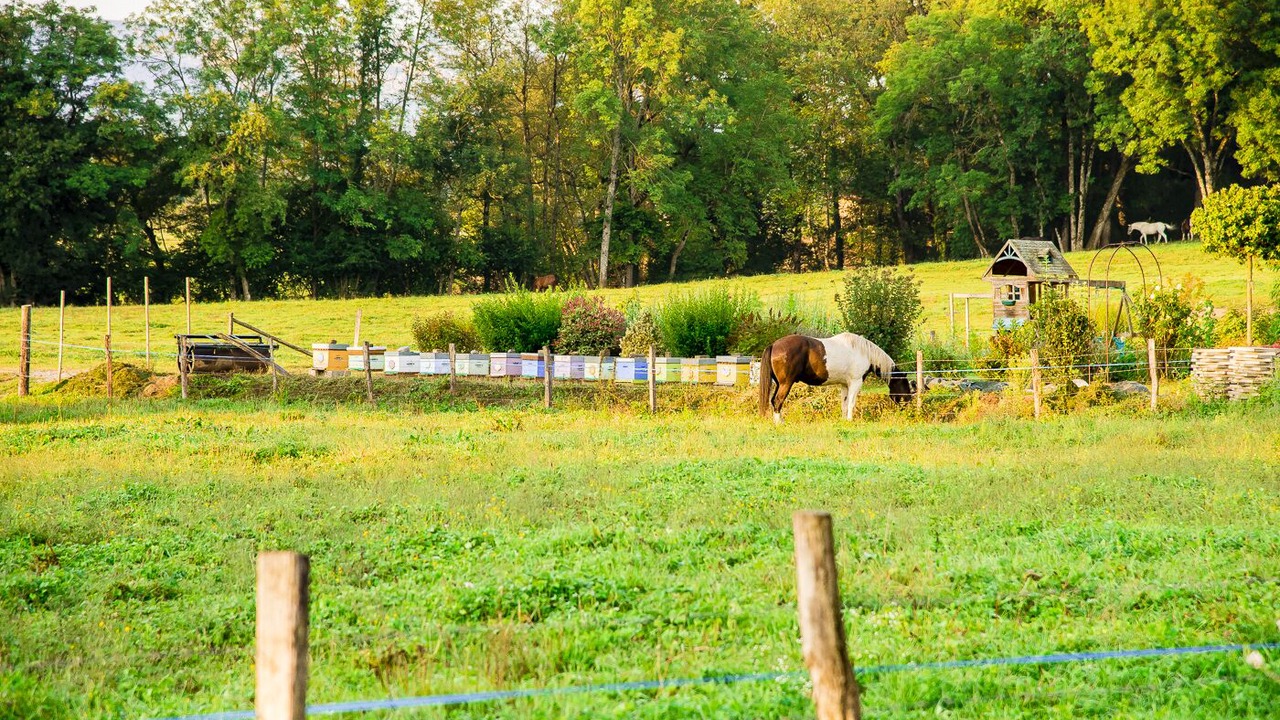 Photo of Outdoor in Cornier