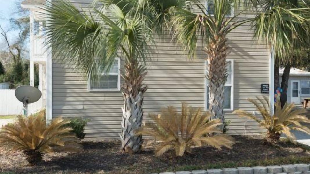 Photo of Outdoor in Crescent Beach