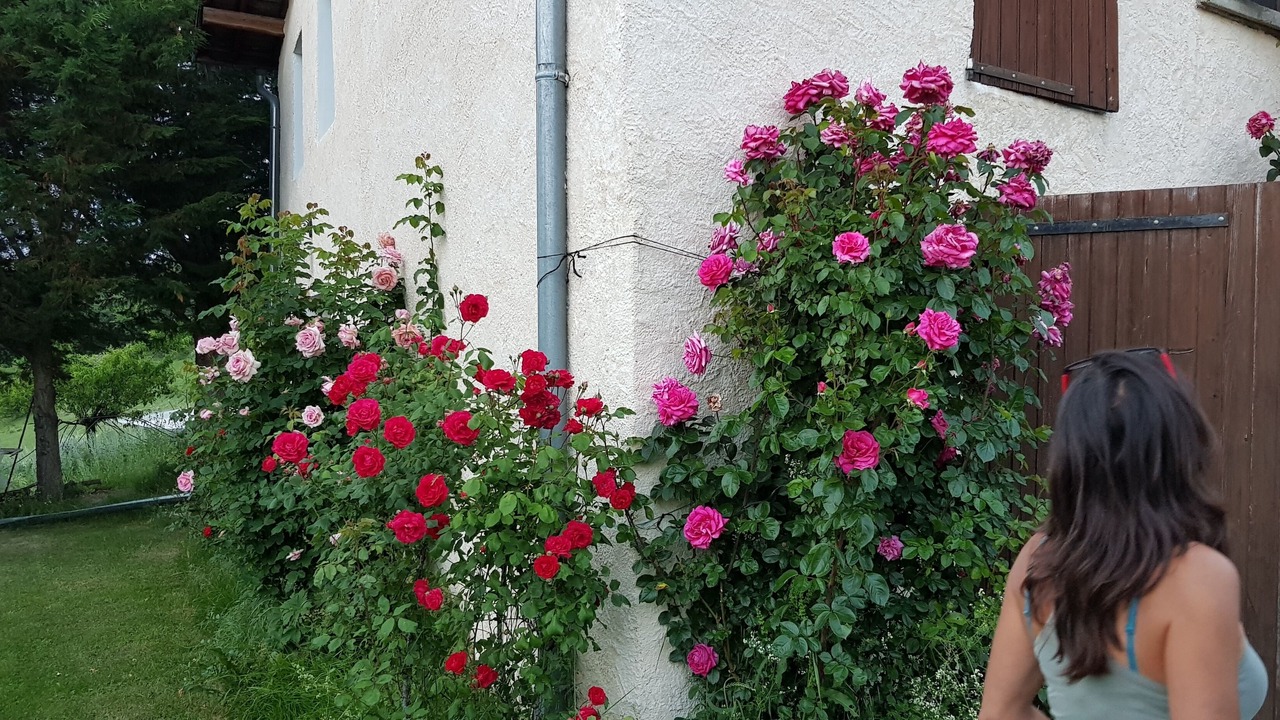 Photo of Outdoor in Theus