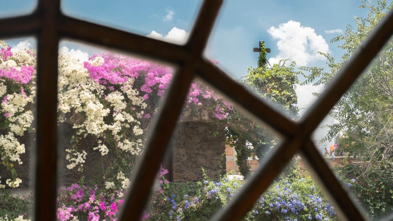 Photo of Outdoor in San Juan del Rio