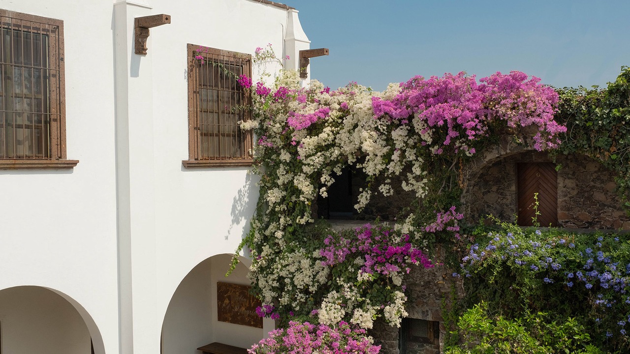 Photo of Outdoor in San Juan del Rio