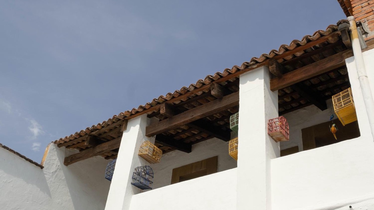 Photo of Outdoor in San Juan del Rio