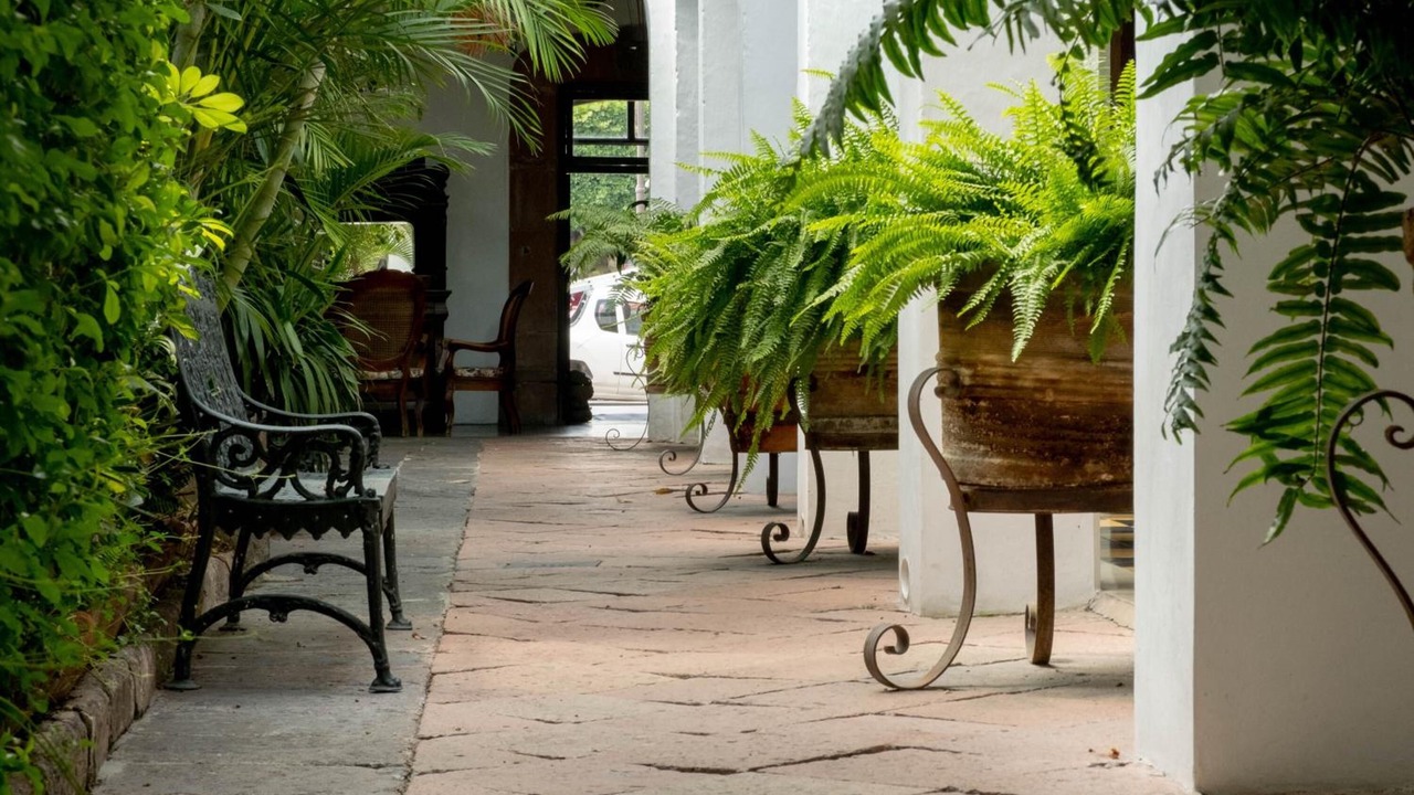 Photo of Outdoor in San Juan del Rio