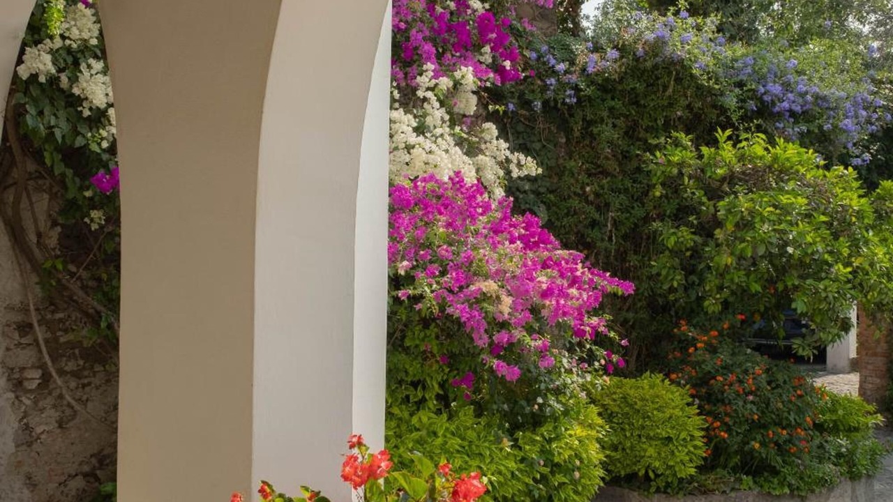 Photo of Outdoor in San Juan del Rio