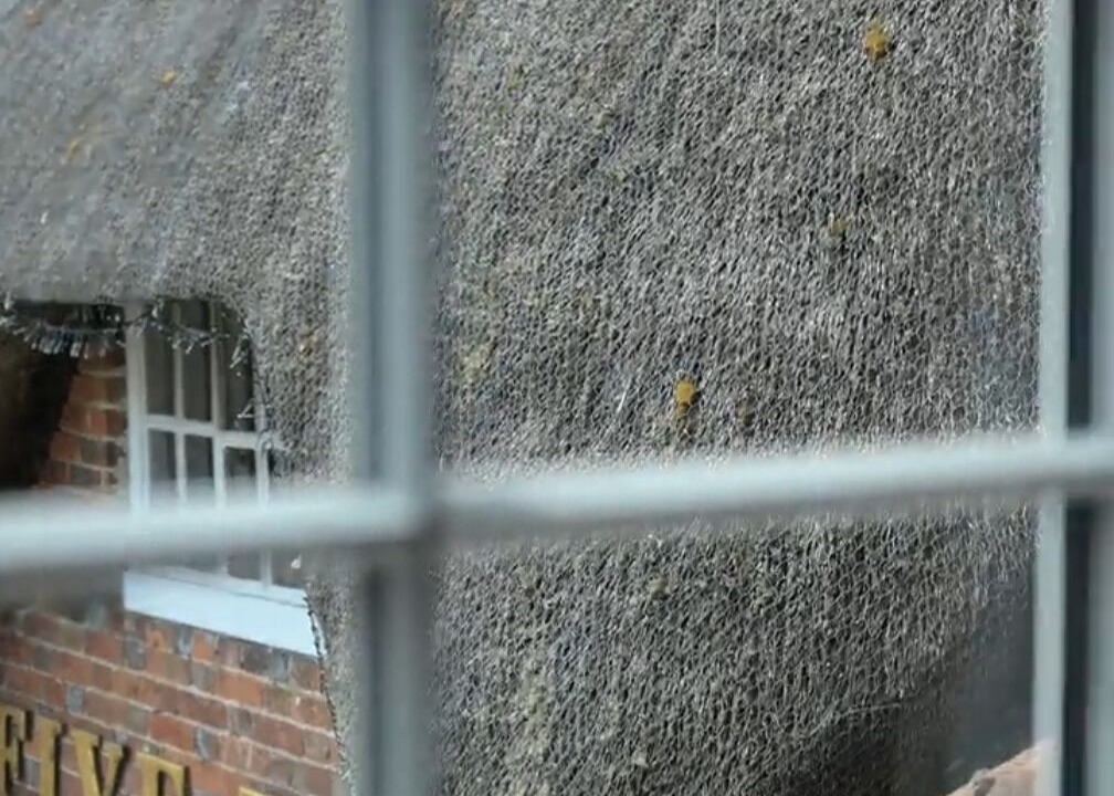 Photo of Outdoor in Newbury