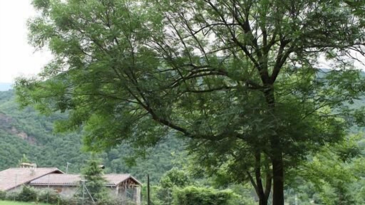 Photo of Outdoor in Buira