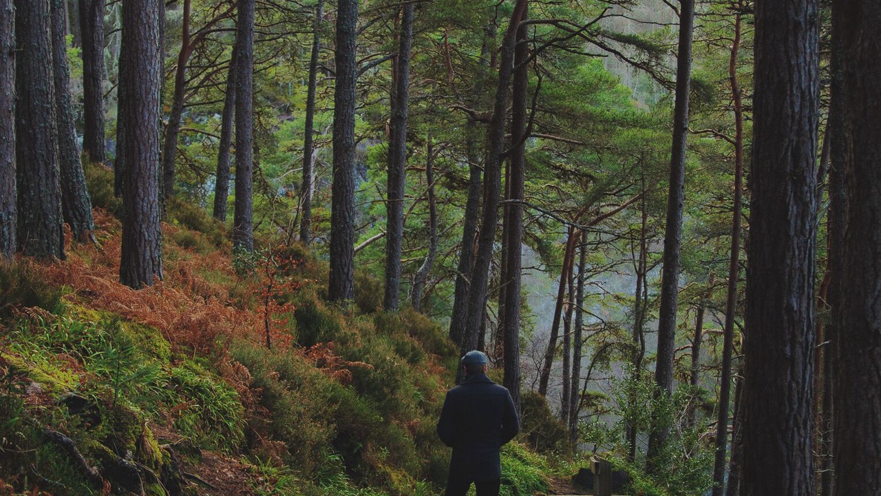 Photo of Others in Foyers