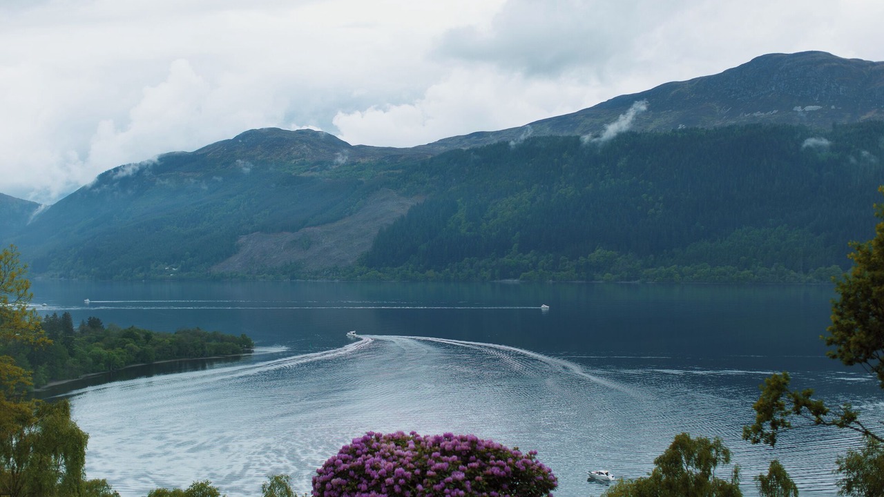 Photo of Others in Foyers