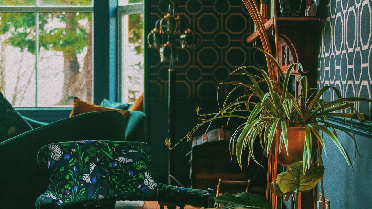 Photo of Others in Foyers