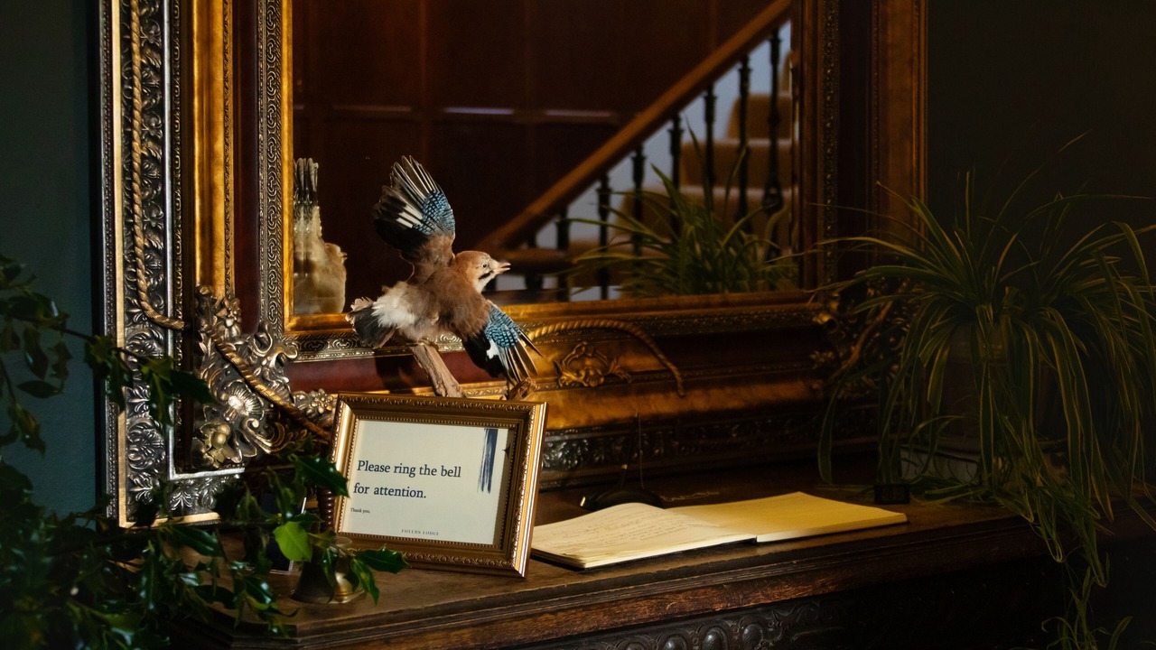 Photo of Others in Foyers