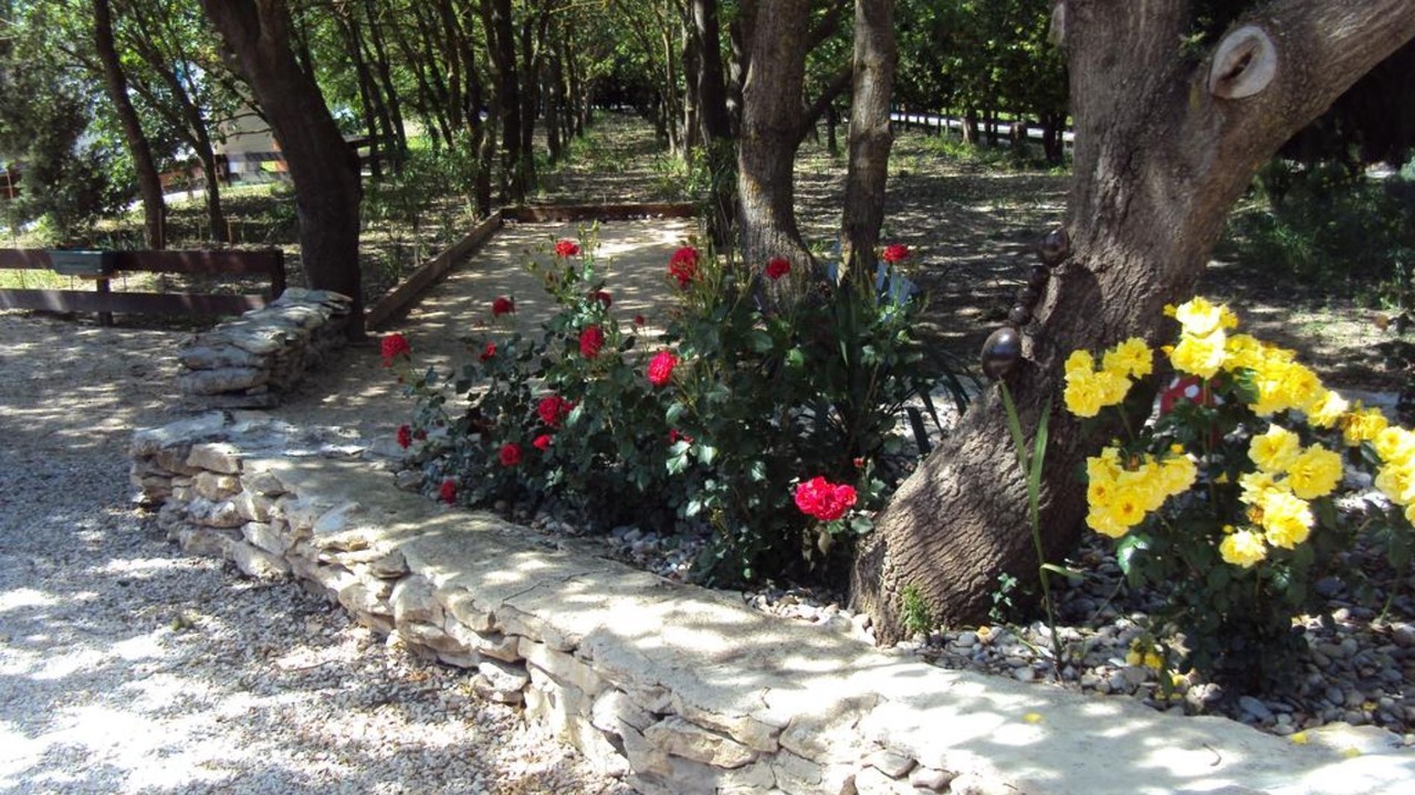 Photo of Outdoor in Pernes-les-Fontaines