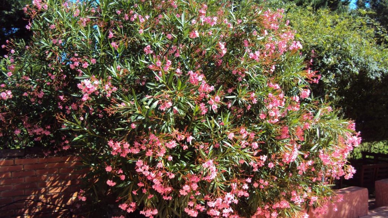 Photo of Outdoor in Pernes-les-Fontaines