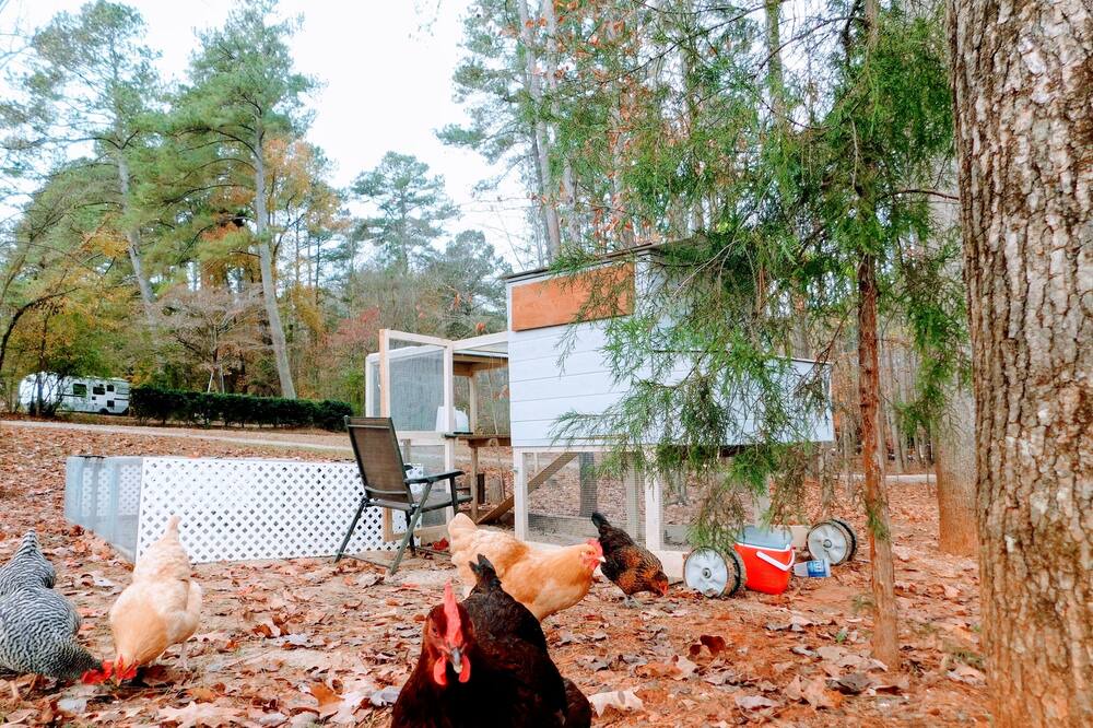 Photo of Outdoor in Garner