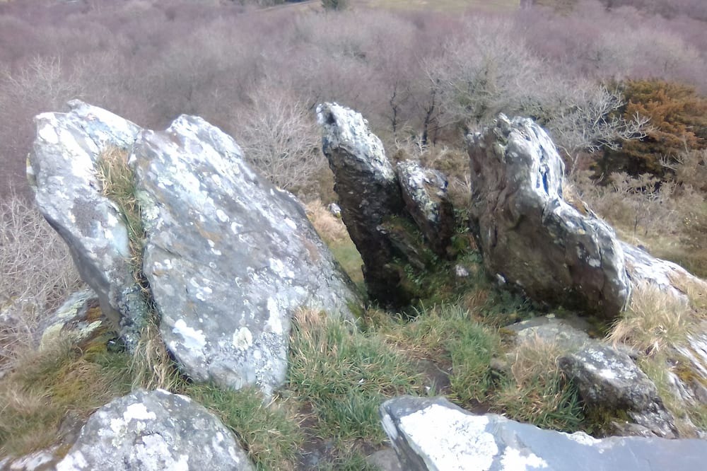 Photo of Others in Lothey