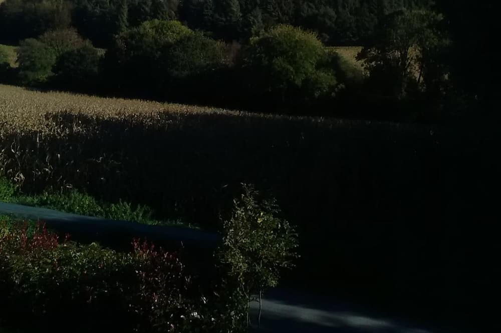 Photo of Outdoor in Lothey