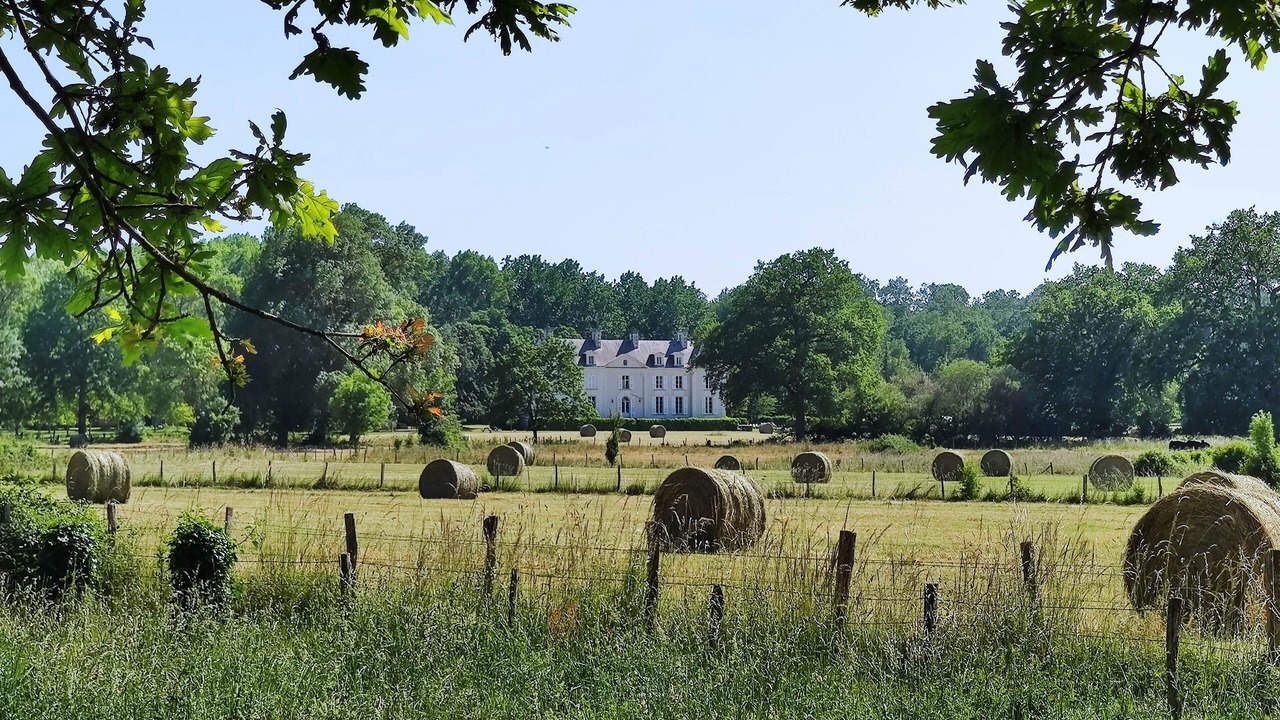 Photo of Outdoor in Brion