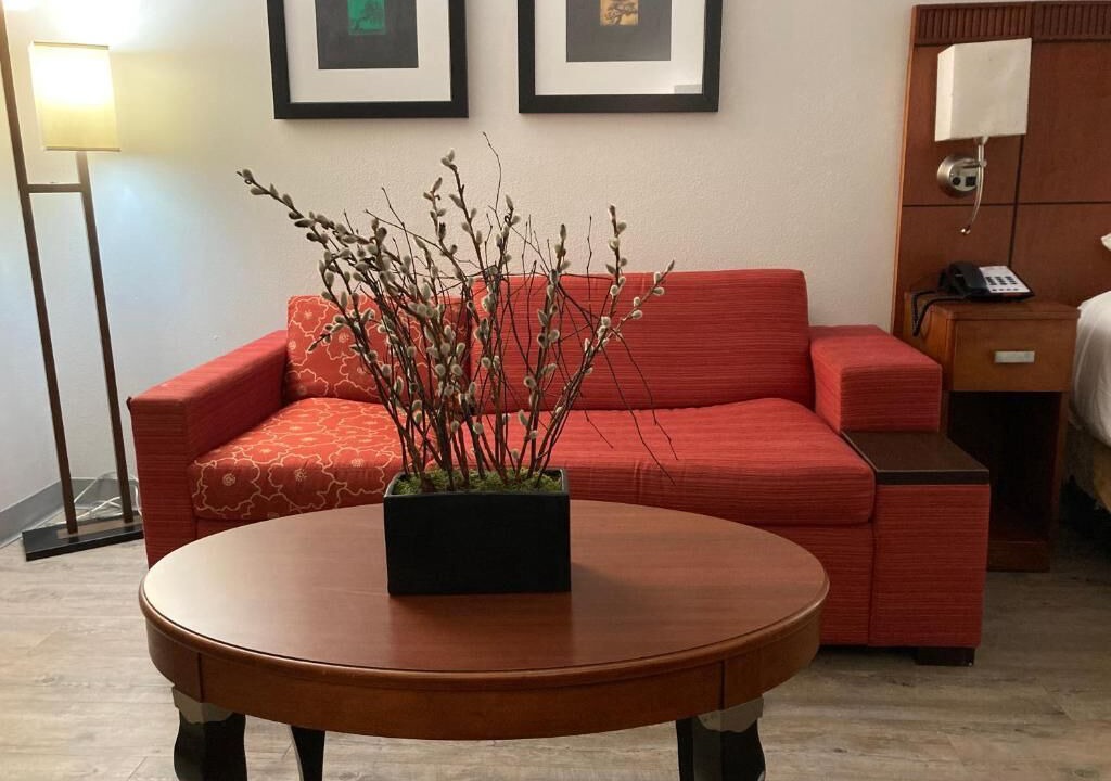 Photo of Livingroom in Orange