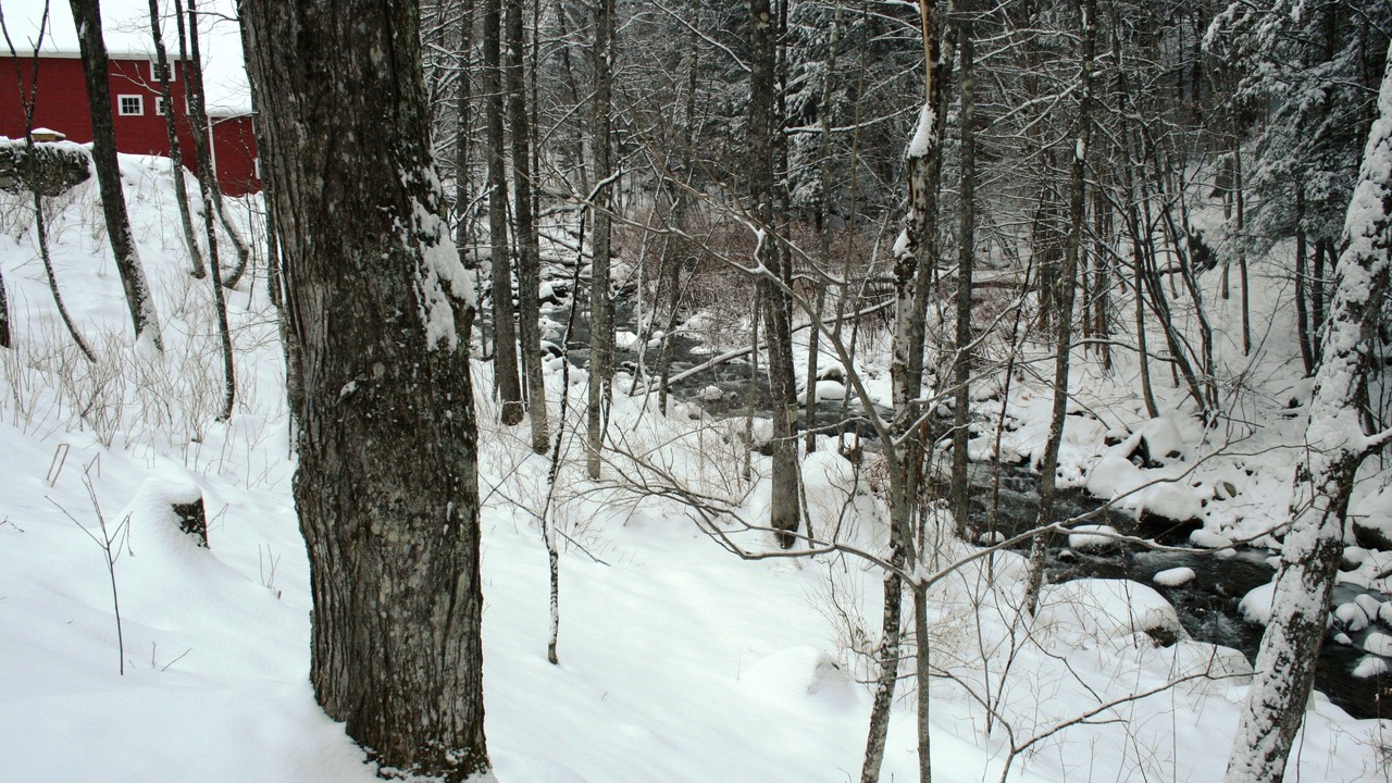 Photo of Others in West Brattleboro
