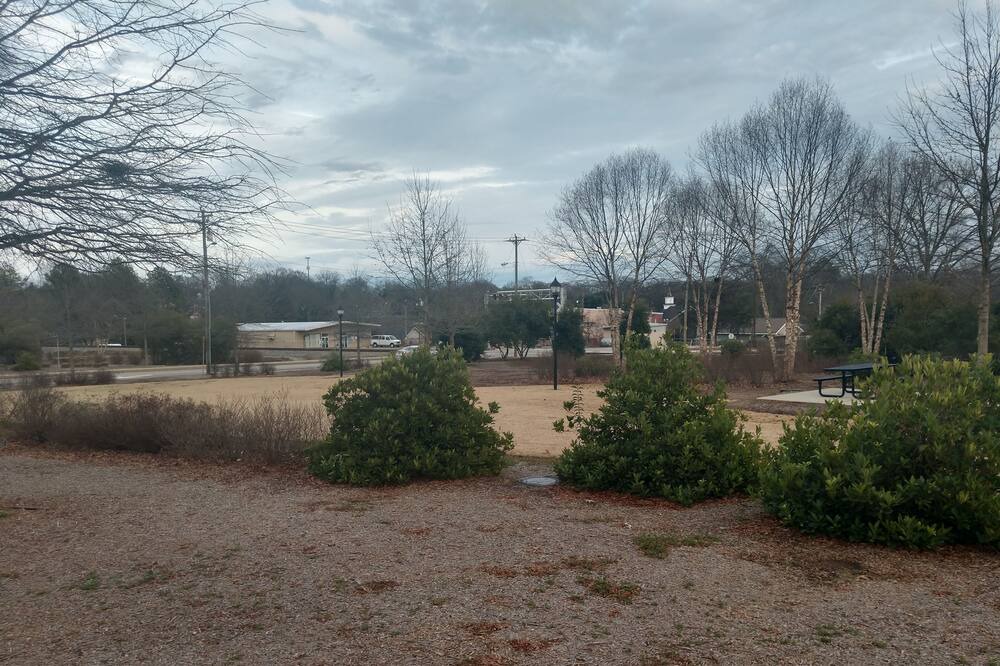 Photo of Others in Judson