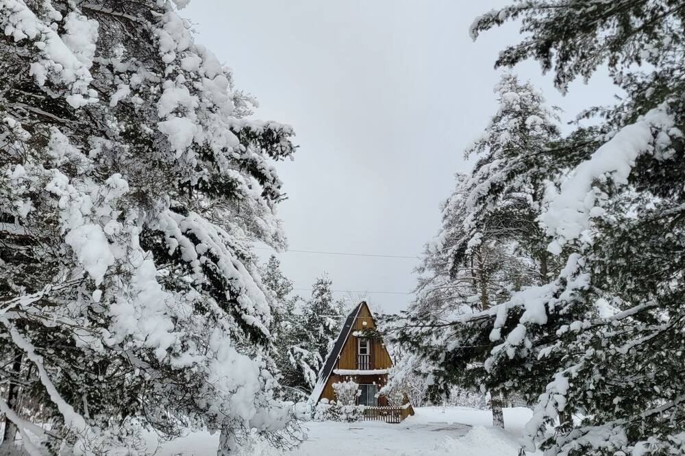 Photo of Outdoor in Potton